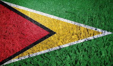 Guyana soyut bayrağı