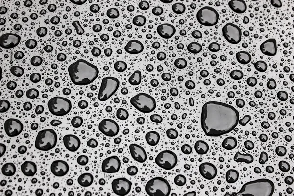 Капли Воды Черном Фоне — стоковое фото