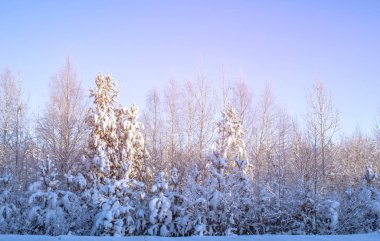 Kar-beyaz kış manzarası