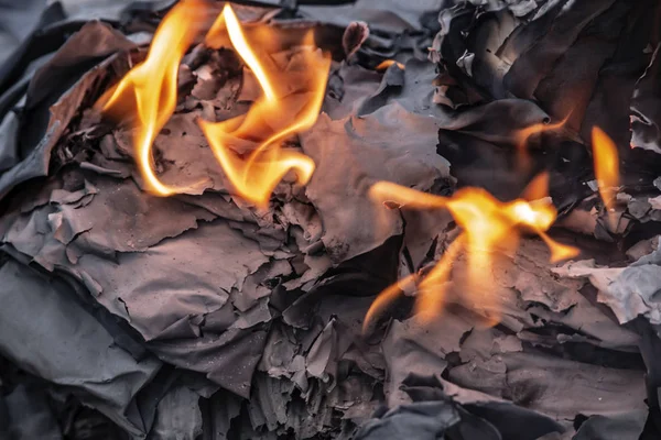 Grey hot ash from bright fire close-up