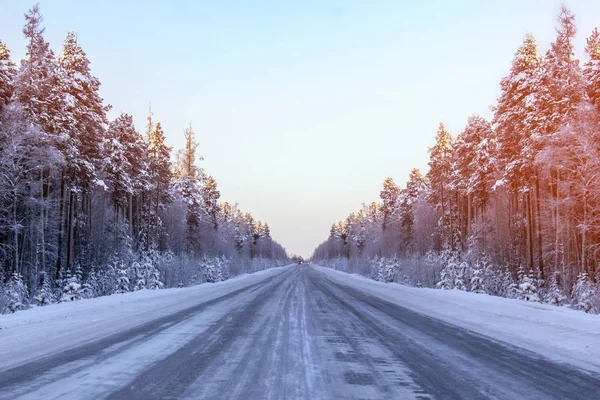Drum Direct Lungul Pădurii Iarnă — Fotografie, imagine de stoc