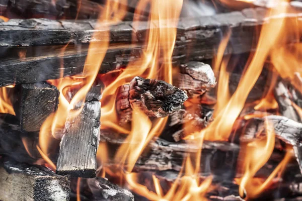 Palos Negros Ardiendo Cerca — Foto de Stock