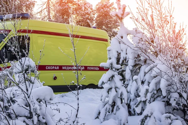 Ambulanță Fundalul Brazilor Albi Zăpada — Fotografie, imagine de stoc