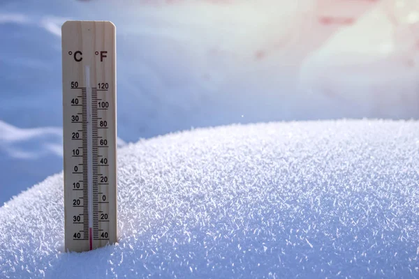 Çıplak ağaçlar arka plan üzerinde ahşap termometre