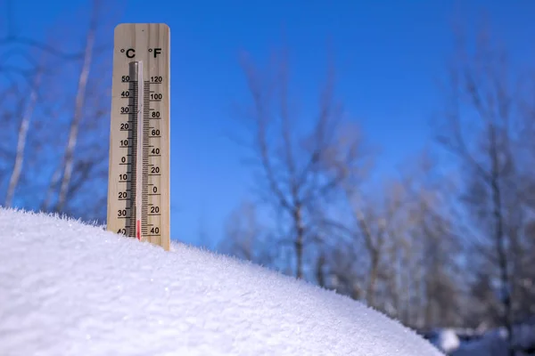 Ağaçlar ve mavi gökyüzü arka plan üzerinde ahşap termometre