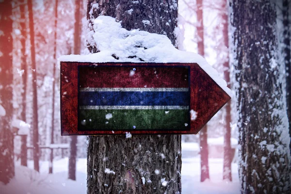 Bandera Gambia Unida Árbol Como Una Señal — Foto de Stock