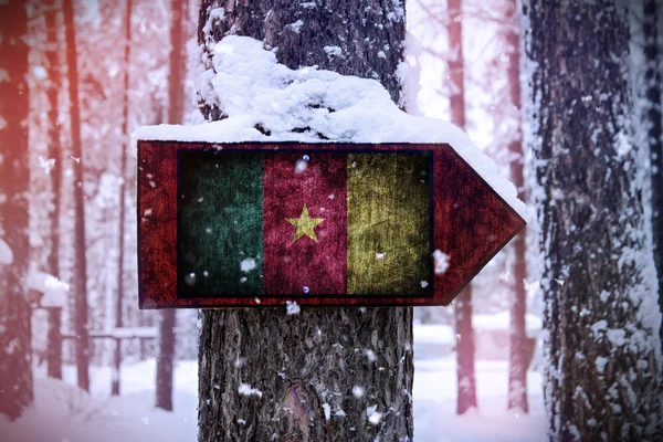 Bandera Camerún Unida Árbol Como Una Señal — Foto de Stock