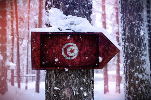 Ağaç Olarak Bir Işareti Iliştirilmiş Tunus Afrika Bayrağı — Stok fotoğraf