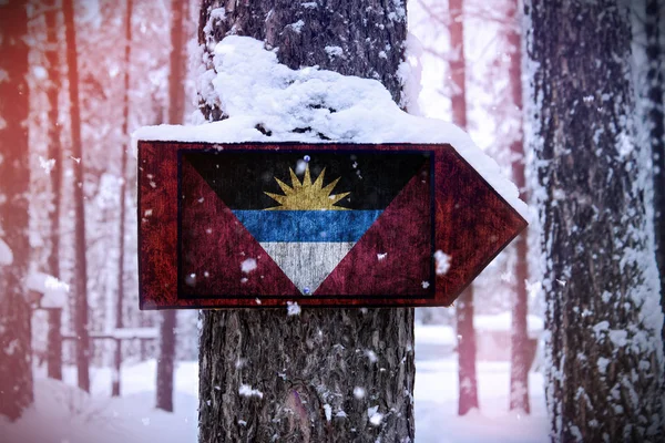 Drapelul Antigua Barbuda Atașat Copacului Semn — Fotografie, imagine de stoc