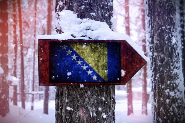 Bandera Bosnia Herzegovina Unida Árbol Como Signo — Foto de Stock