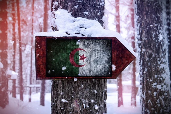 Drapelul Algeria Africa Atașat Copacului Semn — Fotografie, imagine de stoc