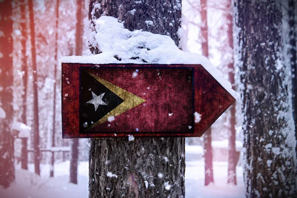 Steagul Timorului Est Atașat Copacului Semn — Fotografie, imagine de stoc