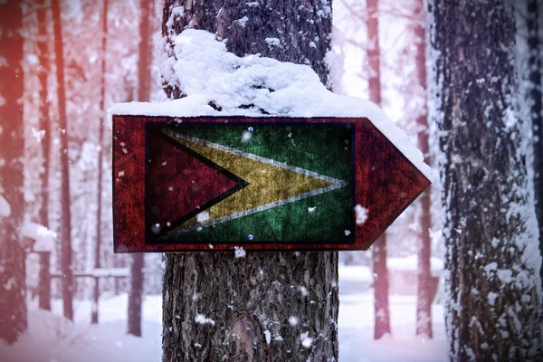 Флаг Гайаны Прикрепленный Дереву Знак — стоковое фото
