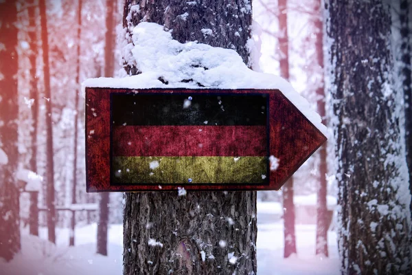 Drapelul Germaniei Atașat Copacului Semn — Fotografie, imagine de stoc