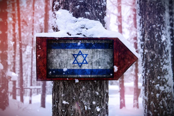 Steagul Israelului Atașat Copacului Semn — Fotografie, imagine de stoc