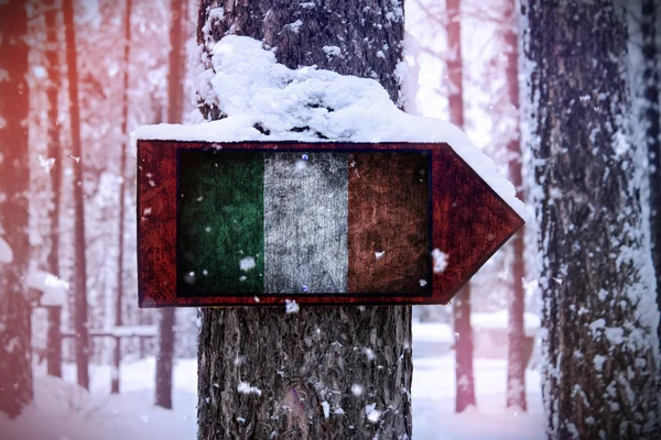 Bandera Irlanda Unida Árbol Como Signo — Foto de Stock