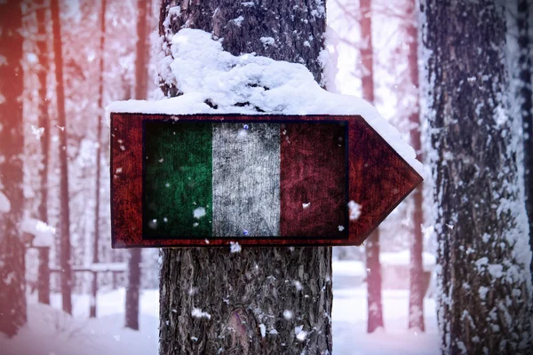 Vlajka Itálie Připojena Stromu Jako Znamení — Stock fotografie