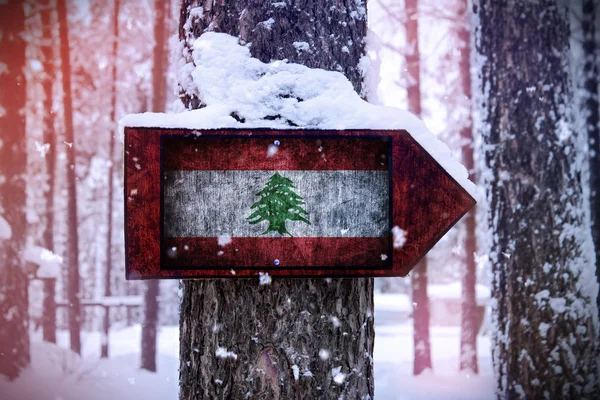 Ливанский Флаг Прикрепленный Дереву Знак — стоковое фото