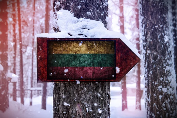 Vlag Van Litouwen Gekoppeld Aan Boom Als Een Teken — Stockfoto