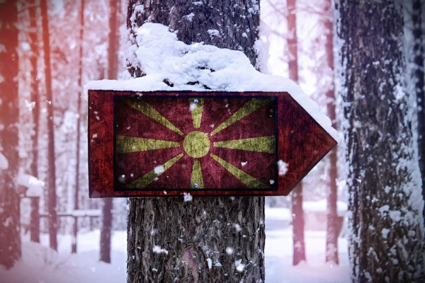 Drapelul Macedoniei Atașat Copacului Semn — Fotografie, imagine de stoc
