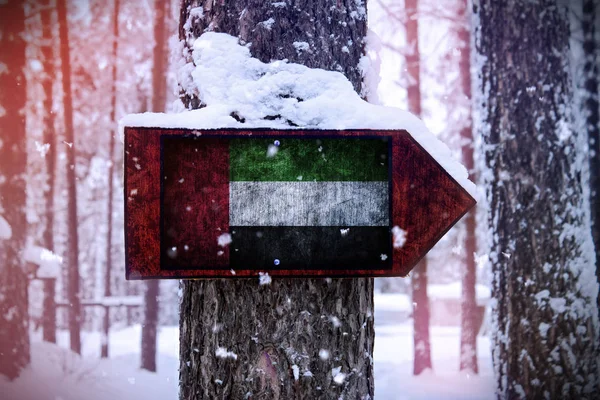 Флаг Объединенных Арабских Эмиратов Прикрепленный Дереву Знак — стоковое фото