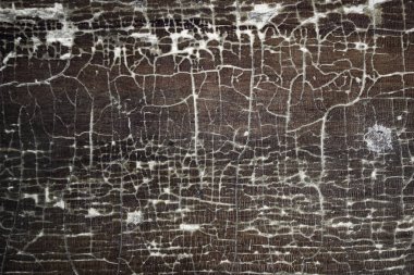 Eski ahşap yönetim kurulu antik formu