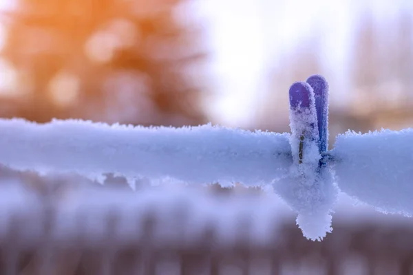 Donmuş Clothespin Bir Kar Parçacığına Eklenmiş — Stok fotoğraf
