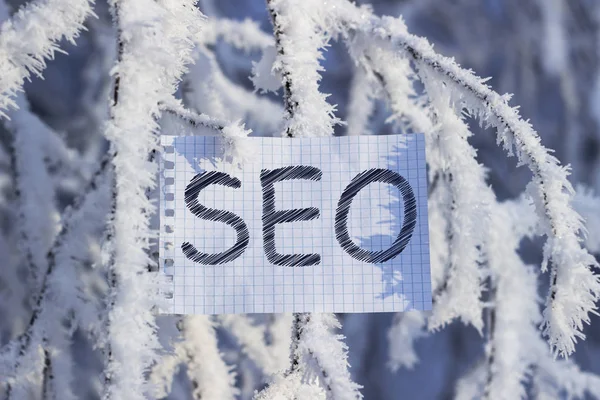 Folha Branca Com Inscrição Seo Pendurado Ramo Nevado — Fotografia de Stock