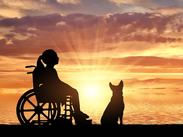 一个快乐的残疾儿童女孩坐在轮椅上 她的狗看着海上日落的剪影 残疾儿童的概念形象 — 图库照片