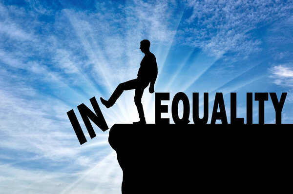 Понятие борьбы с неравенством в обществе
