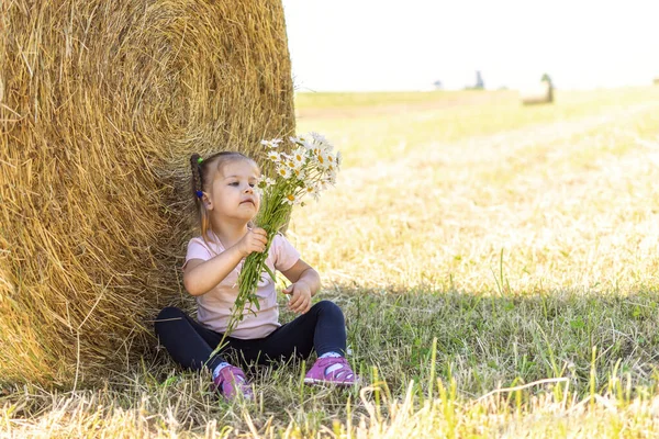 little girl with a bouquet of field daisies near a stack of straw in a field. holidays in the countryside