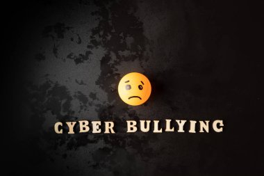 internet bullying or cyber bullying