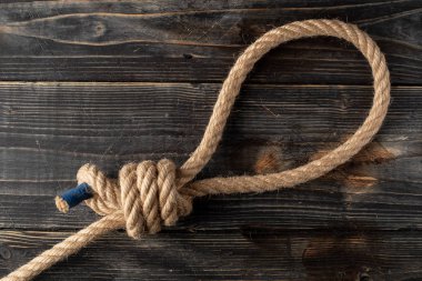 hangman's noose. Gallows knot. Rope node