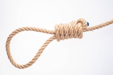 hangman's noose on white background. Gallows knot. Rope node