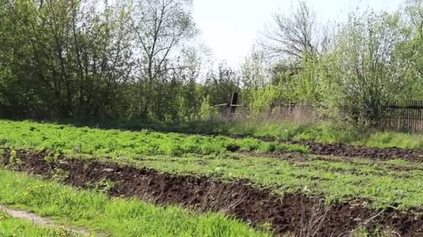 Traktor Připravuje Orat Půdu Pro Novou Výsadbu Jarní Práce Poli — Stock video