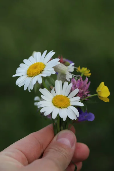 Um buquê de flores silvestres coletado pela criança para a mãe — Fotografia de Stock