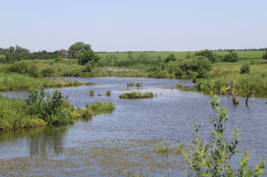 Güzel bir nehir manzarayı süsler ve çevresindeki her şeye hayat verir.