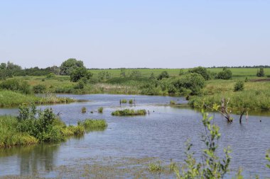 Güzel bir nehir manzarayı süsler ve çevresindeki her şeye hayat verir.