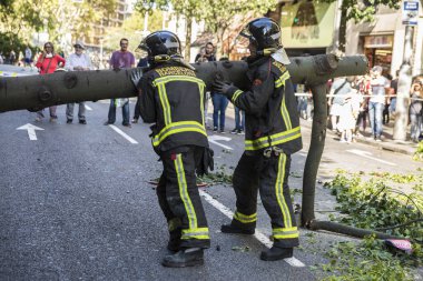 Barcelona, İspanya - 20 Eylül 2017: dört bir yanındaki insanlarla Barcelona, Catalonia, İspanya Caddesi'nin ortasında düşmüş bir ağaç çekerek itfaiyeciler