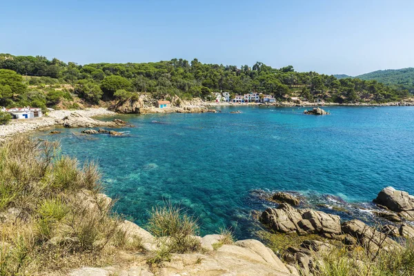 Vista Playa Alguer Con Gente Bañándose Costa Brava Girona Cataluña — Foto de Stock