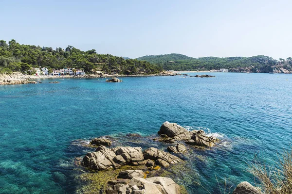 View Alguer Beach People Bathing Costa Brava Girona Catalonia Spain — Stock Photo, Image