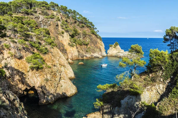 ヨットのパラモス コスタ ブラバ ジローナ カタルーニャ スペインの地中海の透明な水の洞窟の崖の横にあります — ストック写真
