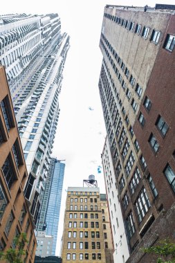 Beekman Tower veya New York olarak Gehry tarafından meşhur 8 spruce caddesi yanındaki binada Manhattan New York City, Amerika Birleşik Devletleri ', Mimar Frank Gehry tarafından tasarlanan bir gökdelendir