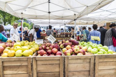 New York City, Amerika Birleşik Devletleri - 26 Temmuz 2018: Çiftçi pazarda Brooklyn Borough Hall Greenmarket Downtown Brooklyn insanlarla Manhattan New York City, Amerika Birleşik Devletleri içinde meyve ve sebze seçme