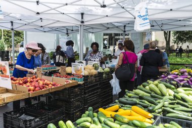 New York City, Amerika Birleşik Devletleri - 26 Temmuz 2018: Çiftçi pazarda Brooklyn Borough Hall Greenmarket Downtown Brooklyn insanlarla Manhattan New York City, Amerika Birleşik Devletleri içinde meyve ve sebze seçme