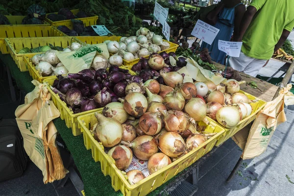 Nueva York Estados Unidos Julio 2018 Farmers Market Brooklyn Borough — Foto de Stock