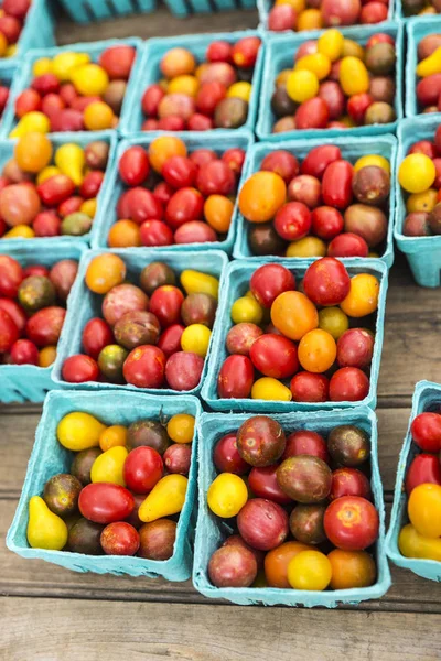 Tomatoes in farmers Market at Brooklyn Borough Hall Greenmarket in downtown Brooklyn, Manhattan in New York City, USA