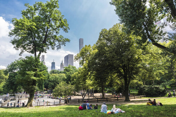 New York City, USA - July 28, 2018: People resting and playing with skyscrapers in the background in Central Park, Manhattan, New York City, USA