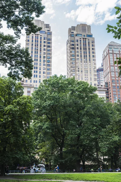 Bisikletçiler ve at arabası Central Park, New York City, Amerika Birleşik Devletleri
