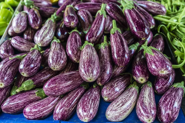 Aubergine of aubergine als achtergrond — Stockfoto